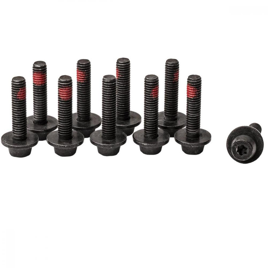 MAGURA Zentrale Befestigungsschraube EASY MOUNT Adapter M6 T25 - sichere Adapterbefestigung