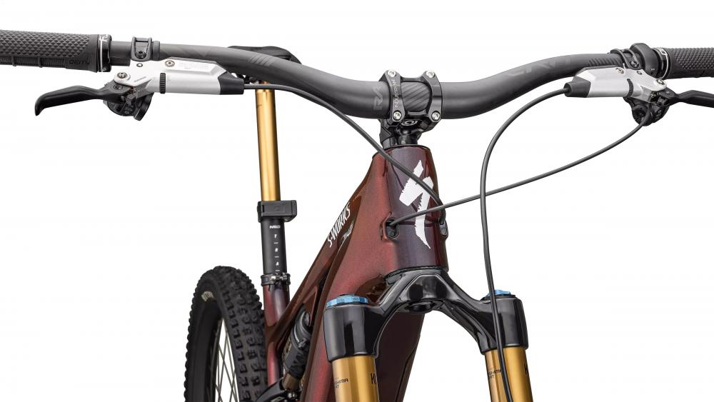 Specialized Turbo Levo SL Carbon G4 NB E-Mountainbike - Redwood Pearl/Black/Metallic White Silver S2 - E-Mountain Bike