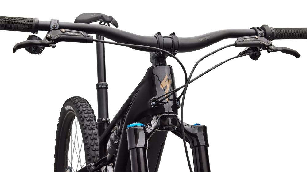 LEVO R EXPERT NB CARB/BNTGLDMET S4 - 29 Zoll E-Mountainbike