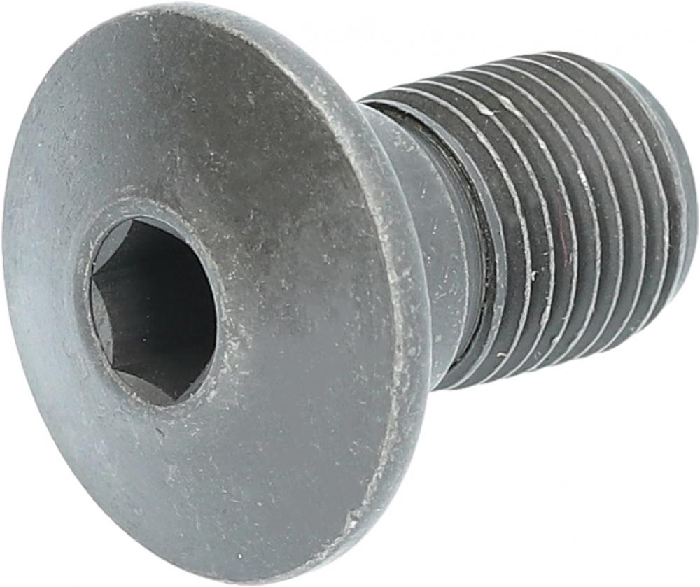 SHIMANO Achse für Schaltwerkhalter RD-TZ500 Direktmontage - 6/7-fach, Tourney TZ