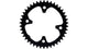 Campagnolo Kettenblatt Kettenblatt 42 Zähne