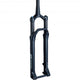 DT Swiss Federgabel F 232 ONE 29" 120 mm Schwarz - leichte XC-Performance