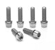 Ritchey Comp Trail/4Axis Vorbauschrauben, 6 Stück, Edelstahl, silber  Ersatzschrauben-Set für Ritchey Vorbauten, bestehend aus 2 M6- und 4 M5-Schrauben