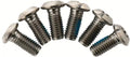 TRP Titanschraubenset Torx M6x10 - leichtes Titanschrauben-Set für Bremsscheiben