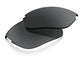 100% Sportcoupe PeakPolar Replacement Lens unis grey - hochwertige Ersatzscheibe