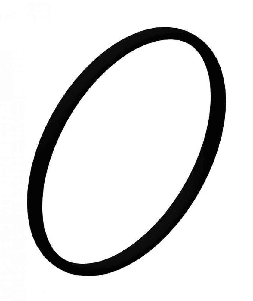DT Swiss O-Ring Ø 17x1 mm NBR 17 x 1 mm Schwarz - präziser Dichtungsring