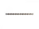 SRAM PC 1031 Fahrradkette 10-fach 114 Glieder - Hochleistungskette für Rennrad & MTB