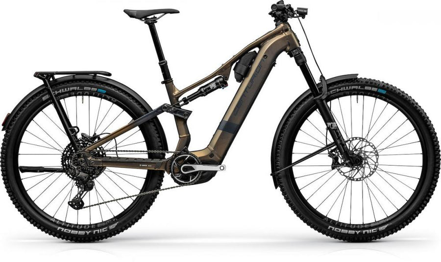 Centurion Numinis R2000 EQ EP4 Kristallgrau M / (41) Grau - komfortables vollgefedertes E-MTB
