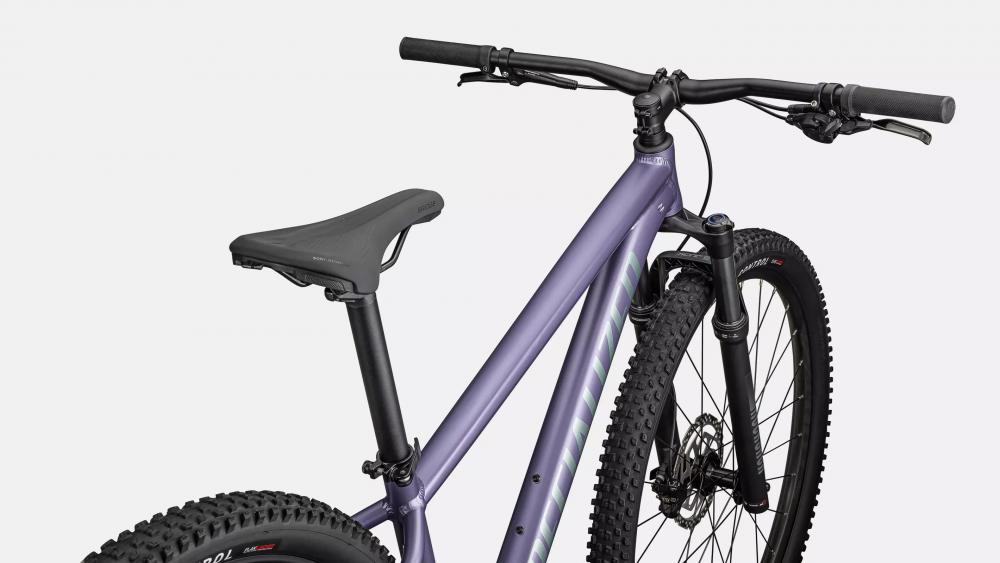 ROCKHOPPER COMP 29 Zoll Mountainbike - Rahmengröße XXL - MVEMET/FJDMET