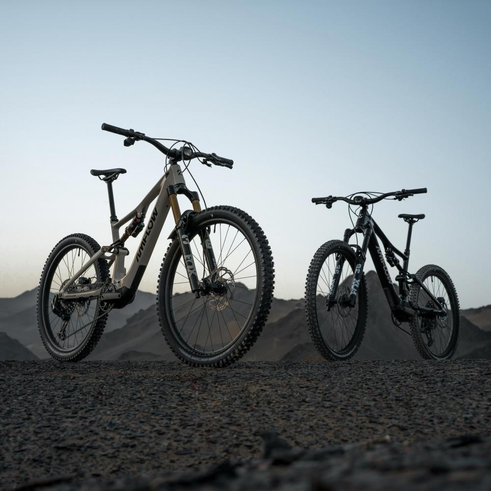 Amflow PX Carbon Pro E-MTB L - 700 Wh, Avinox M2S, Mondstein-Grau