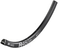 DT Swiss Felge R 460 Disc 28"/700C 24 Loch Schwarz - vielseitige Rennrad-Disc-Felge