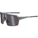 Limar Horus Matt Grey Unisize Grau - vielseitige Performance-Radsportbrille