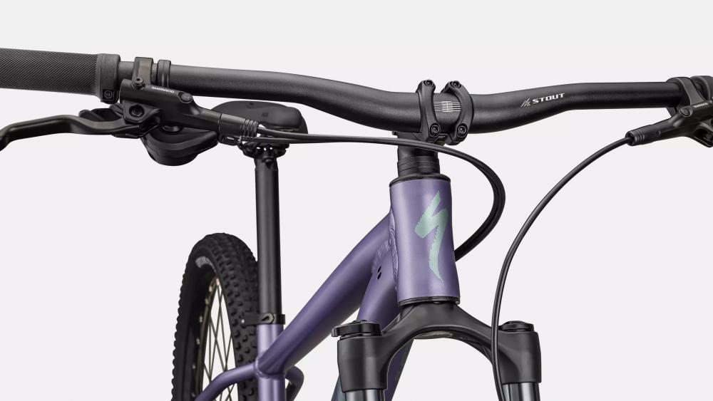 ROCKHOPPER COMP 29 Zoll Mountainbike - Rahmengröße XXL - MVEMET/FJDMET