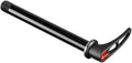 DT Swiss Steckachse RWS MTB 15 mm, 100/15/1,5 mm schwarz - stabile Laufrad-Fixierung