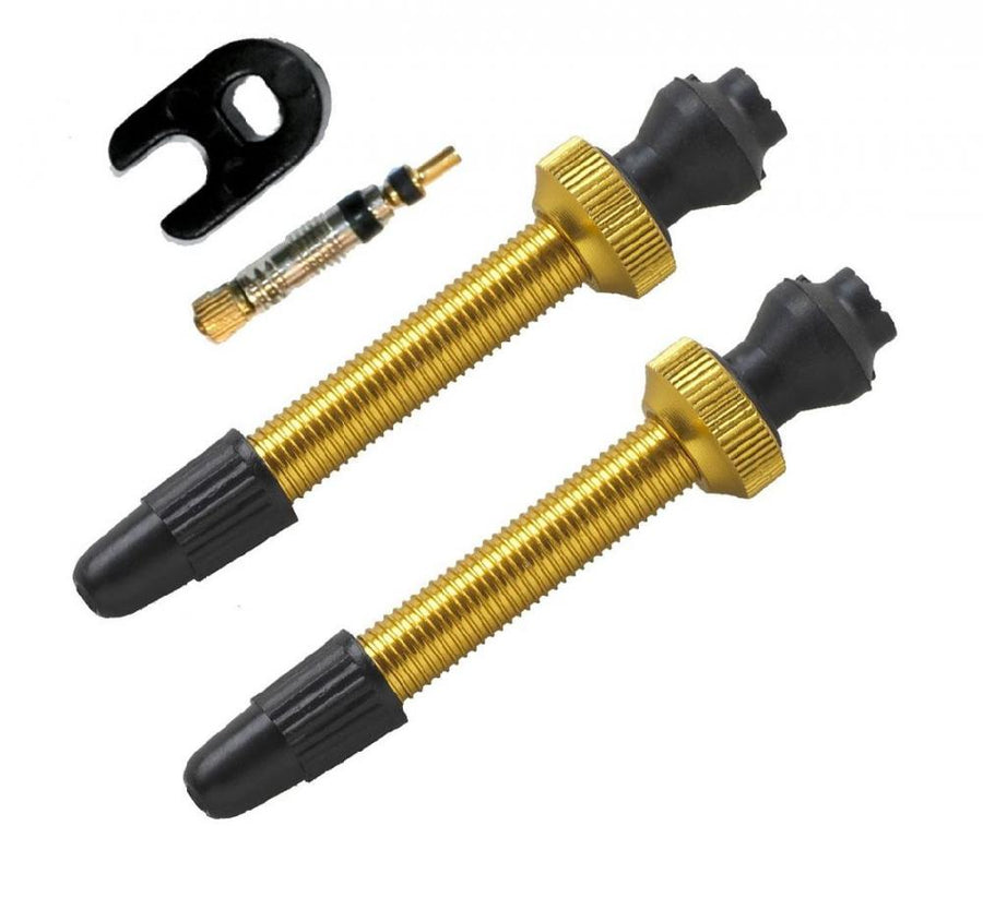 Barbieri Tubelessventil Alu SV 45mm gold VE 2 Stück