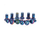 SRAM Befestigungsschraube Rotor rainbow Titan T25, 12 Stück - Leichte Performance-Montage
