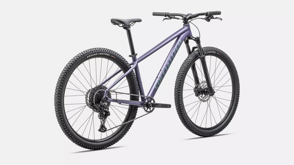 ROCKHOPPER COMP 29 Zoll Mountainbike - Rahmengröße XXL - MVEMET/FJDMET