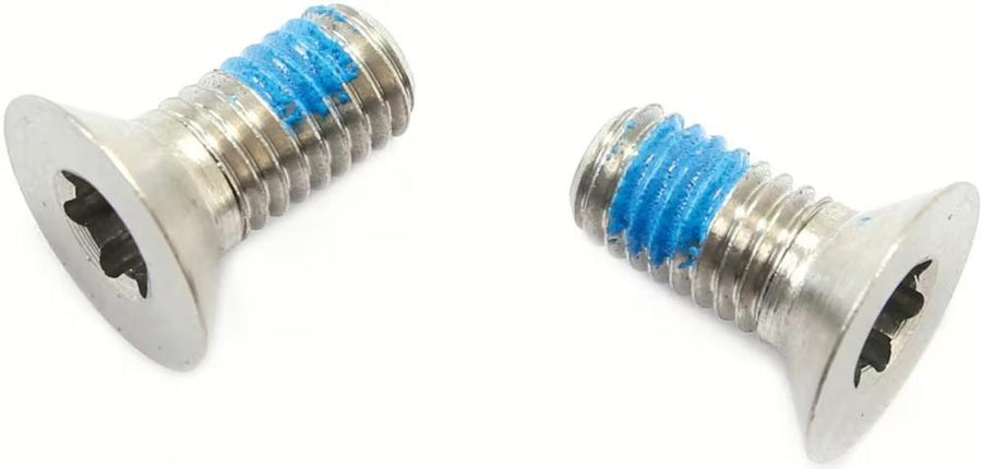 SRAM Schrauben für Flat Mount Bremssattel 5mm, Edelstahl/Titan, mit blauer Gewindesicherung.