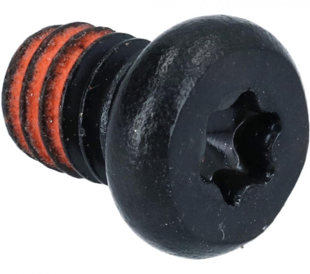 SHIMANO Befestigungsschraube für Geschwindigkeitssensor EW-SS302 (M4) - 3 g