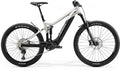 MERIDA EONE-SIXTY 500 EP2 MATT-TITAN/SCHWARZ S_41.5