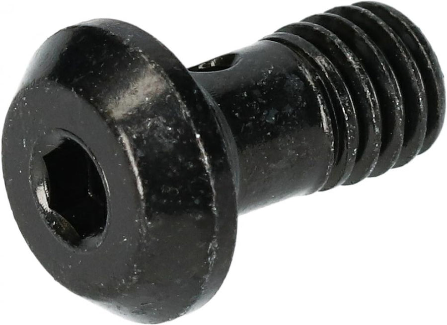 SHIMANO Bremsleitungsschraube BR-M8100 - für hydraulische Scheibenbremsen, ca. 5 g