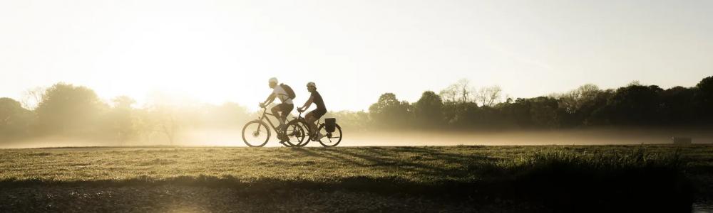 SQlab Lenker 310 3.0 - 31.8mm Fahrradlenker