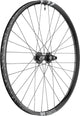 DT Swiss Laufrad F1900 Classic 29" 30 622 x 30 mm Schwarz - robustes MTB-Vorderrad für Bikepark & Downhill