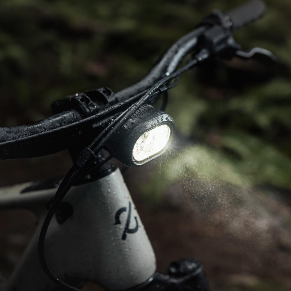 Amflow PR Carbon Pro E-MTB 800 Wh - Größe L, Basaltgrau